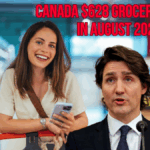 Canada $628 Grocery Rebate in August 2025
